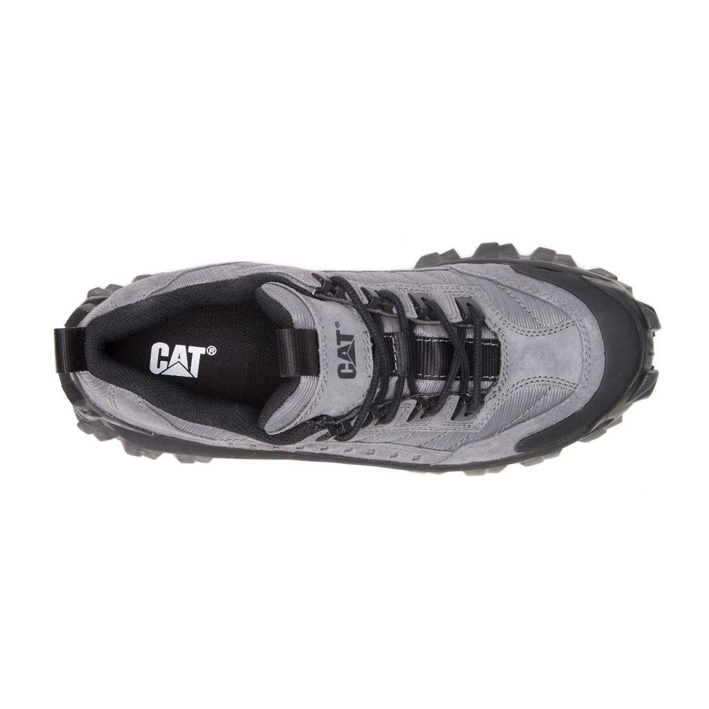 Caterpillar Intruder Women's Casual Shoes deep grey/Black  USA |  672583-PZA