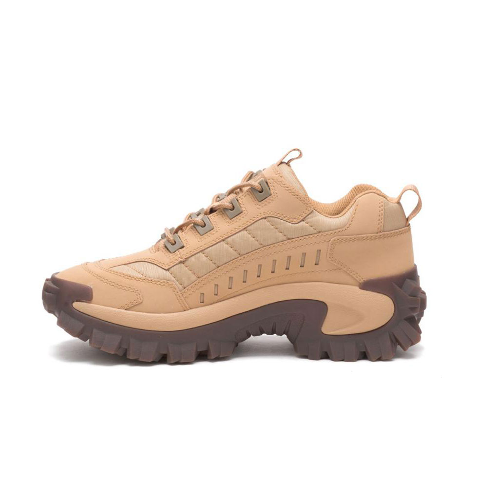 Caterpillar Intruder Women's Sneakers Taffy Brown  USA |  106849-IMD