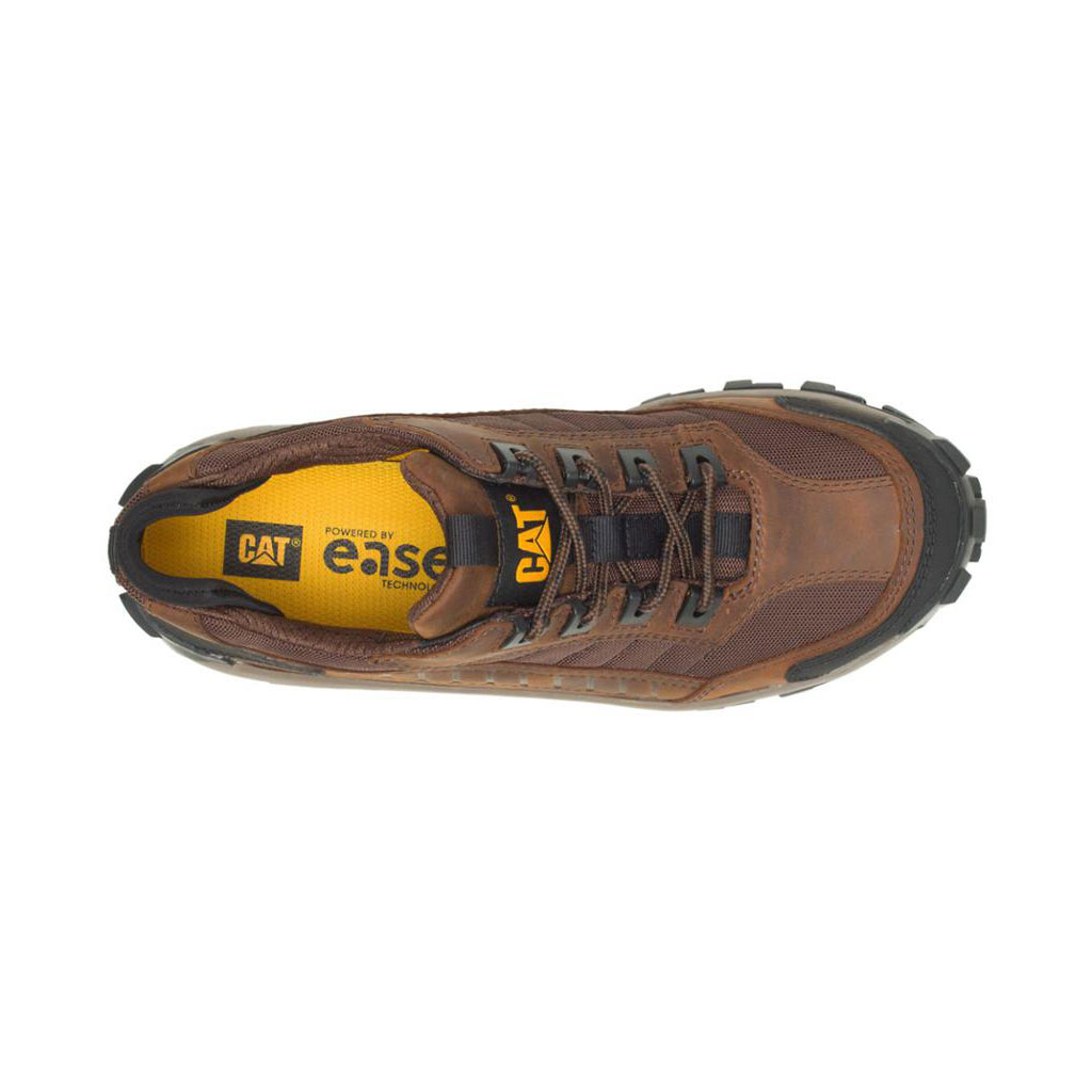 Caterpillar Invader Steel Men's Work Shoes Dark Brown  USA |  802971-JYQ